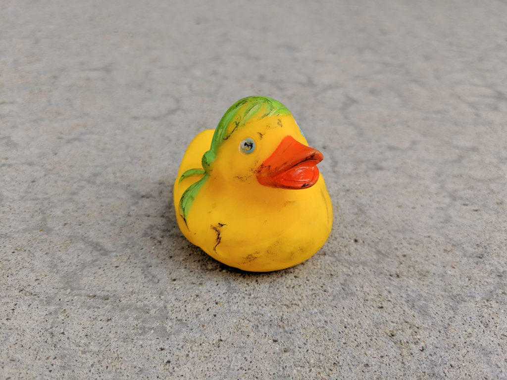 Small, scuffed-up rubber duck