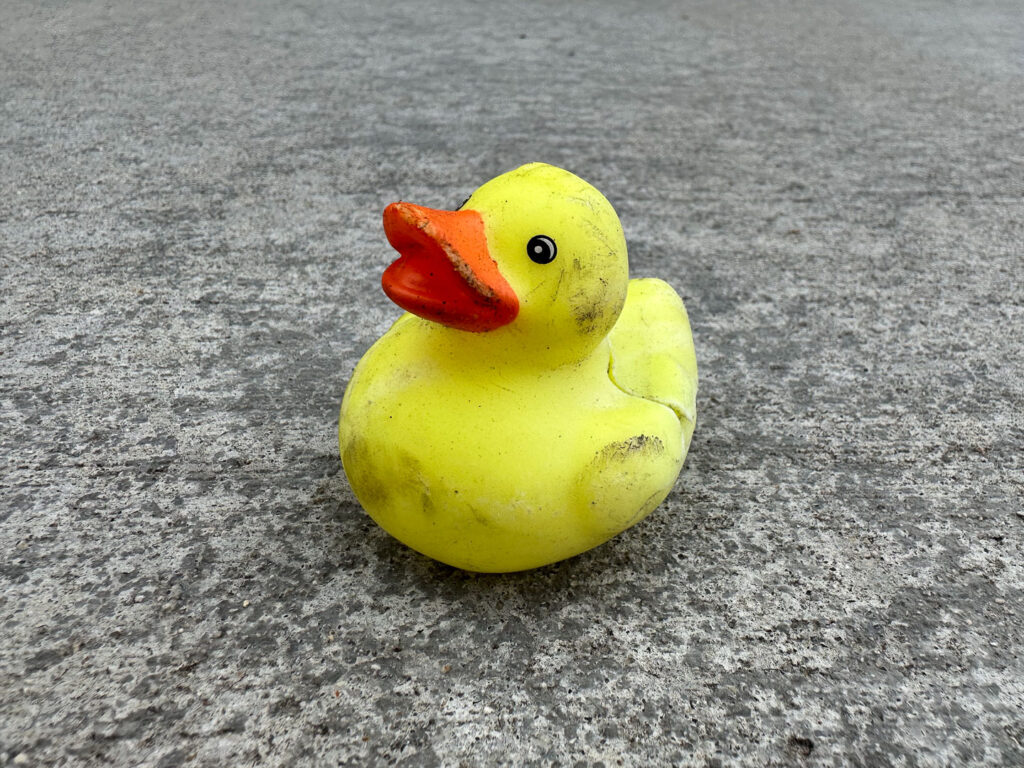 Scuffed up rubber duck toy