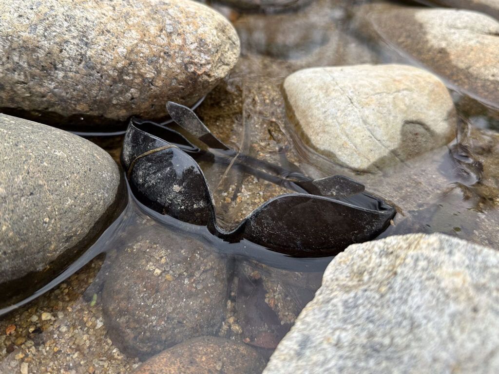 Tinted outdoor safety glasses half-submerged in a creek bed