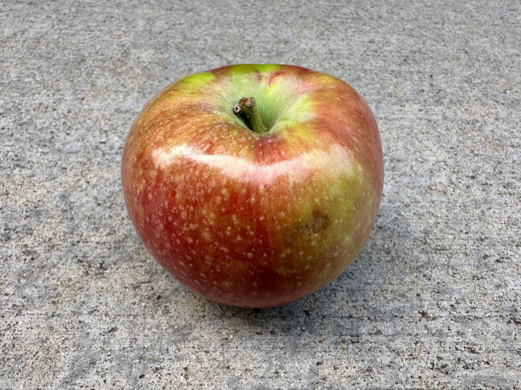 A red apple with green patches